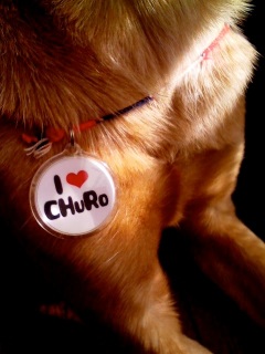 CHuRoB