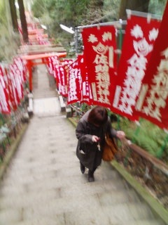 qlYsL 1ځ