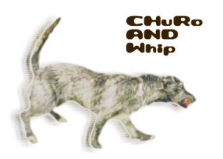 ̏oĂB